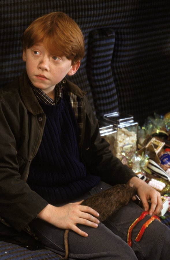 ron4.jpg