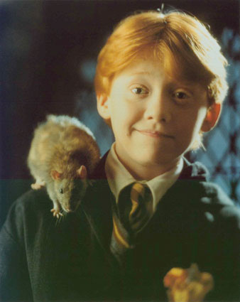 ron5.jpg